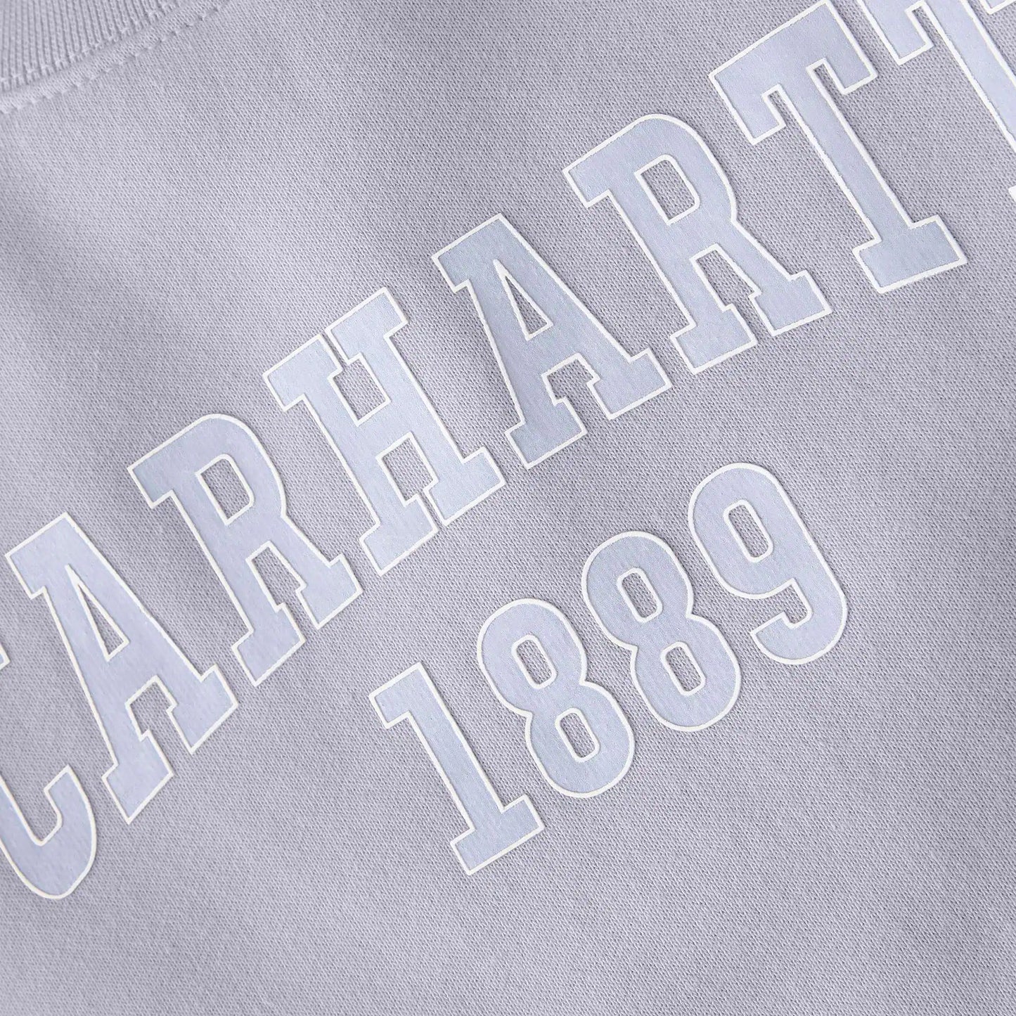 Women's Loose Fit Midweight Carhartt Graphic Sweatshirt