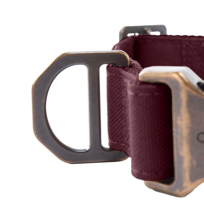 Field Dog Collar