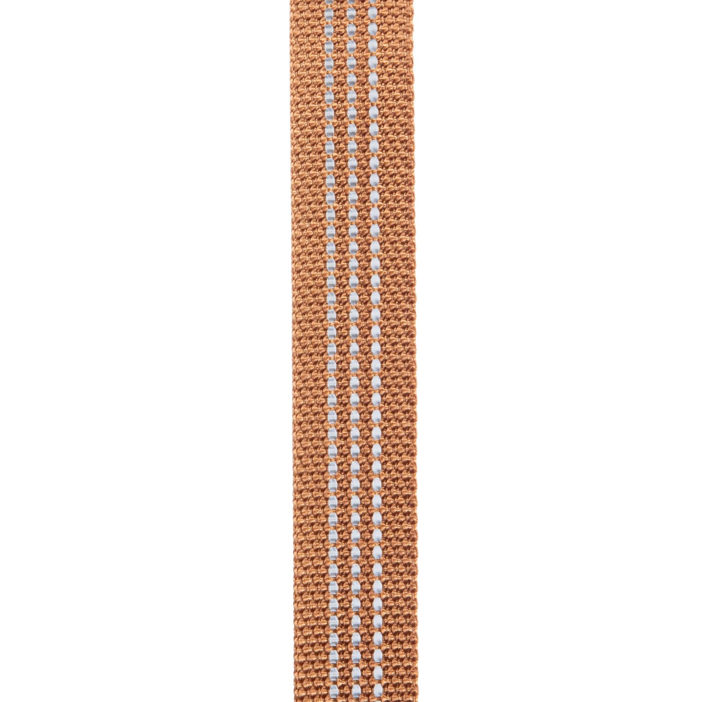 Dog Collar